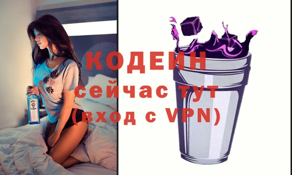 ГАЛЛЮЦИНОГЕННЫЕ ГРИБЫ Гусев