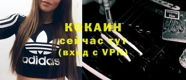 ГАЛЛЮЦИНОГЕННЫЕ ГРИБЫ Гусев