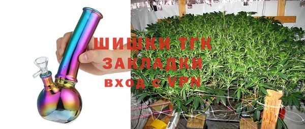 дмт Горняк