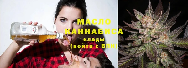 дмт Горняк