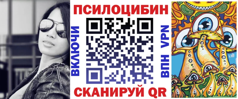 Купить закладки  Константиновск  Псилоцибиновые грибы мицелий 