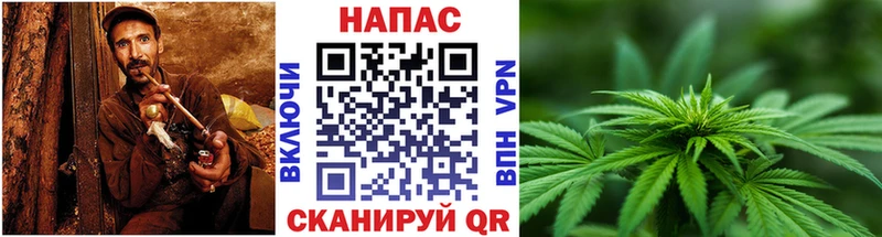 Шишки марихуана SATIVA & INDICA  Купить  Константиновск 